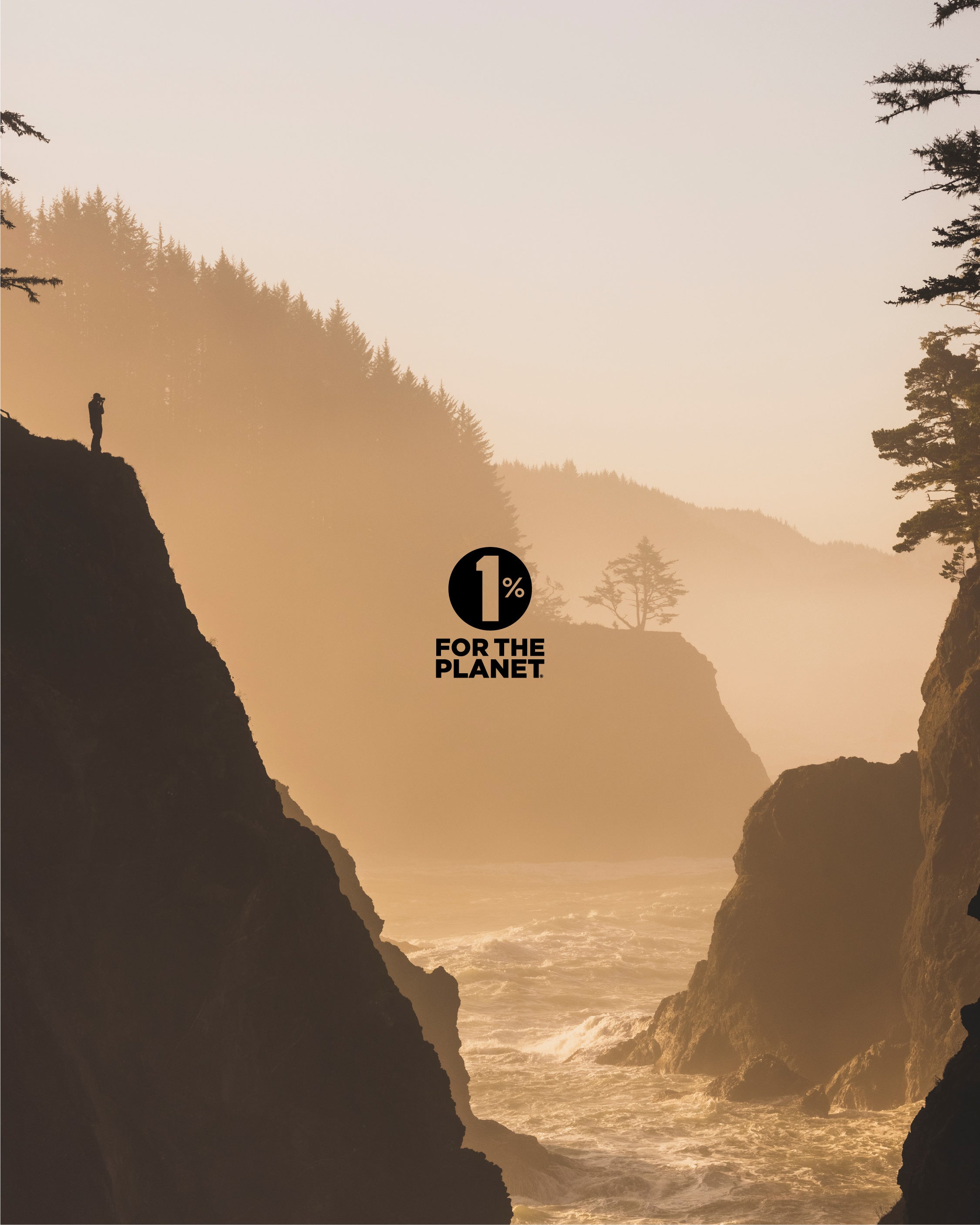 Jackson's 12 in 1 (500 pellets) - Certified Vegan, Lactose-Free All 12 Cell Salt Combination