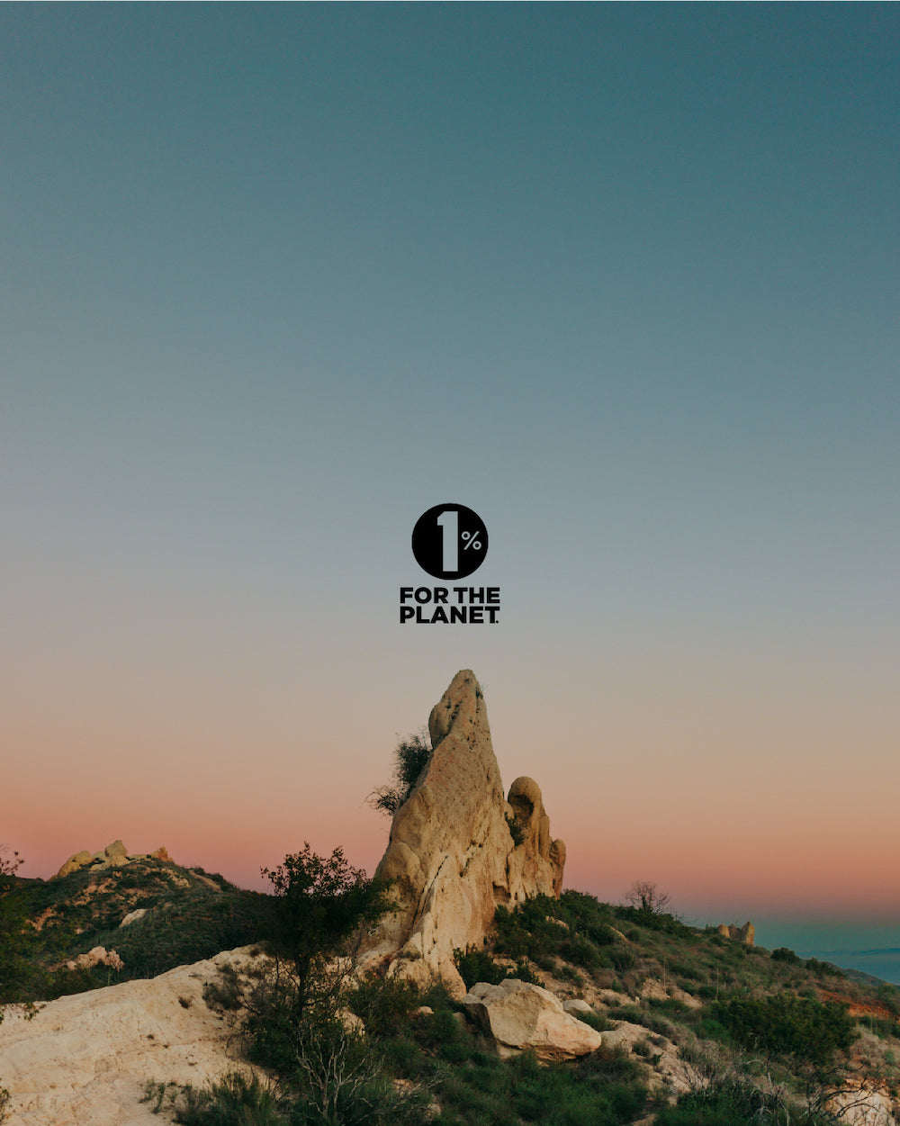 #2 Calc Phos 6X (Calcium phosphate) - Certified Vegan, Lactose-Free Cell Salt