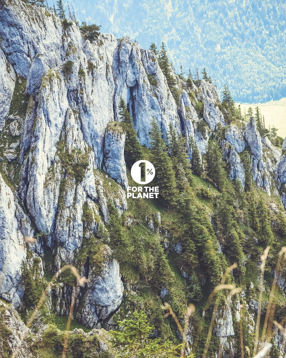 #8 Mag phos 6X (Magnesium phosphate) - Certified Vegan, Lactose-Free Cell Salt